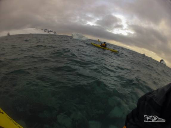 Água gelada, mas transparente, em Half Moon Island, na Antártida